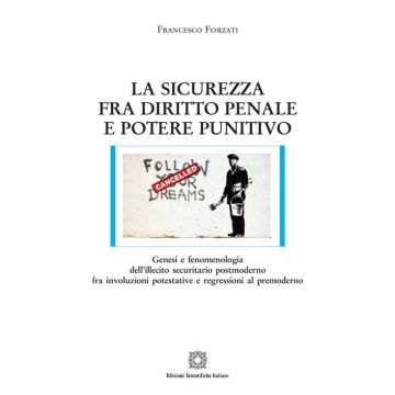 La sicurezza fra diritto penale e potere punitivo