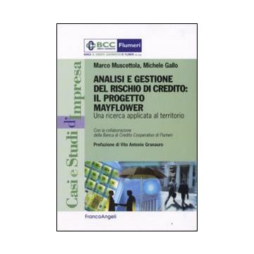 Analisi e gestione del rischio di credito. Il progetto Mayflower. Una ricerca applicata al territorio