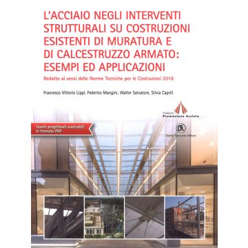 L'acciaio negli interventi strutturali su costruzioni esistenti di muratura e di calcestruzzo armato: esempi ed applicazioni redatto ai sensi delle norme tecniche per le costruzioni 2018. Con aggiornamento online