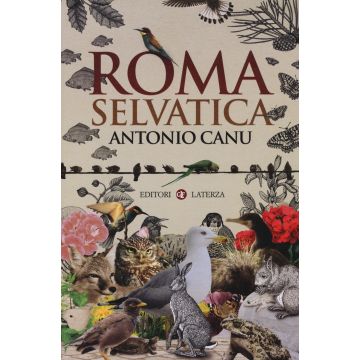 Roma selvatica