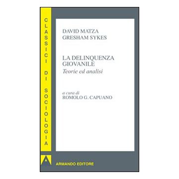 La delinquenza giovanile. Teorie ed analisi
