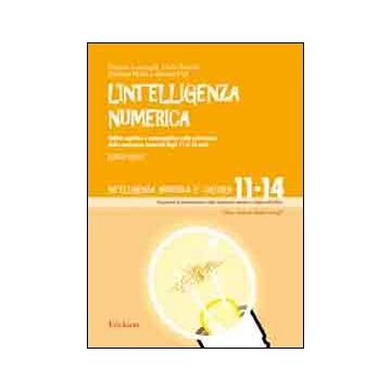 L'intelligenza numerica. Vol. 4: Abilità cognitive e metacognitive nella costruzione della conoscenza numerica dagli 11 ai 14 anni