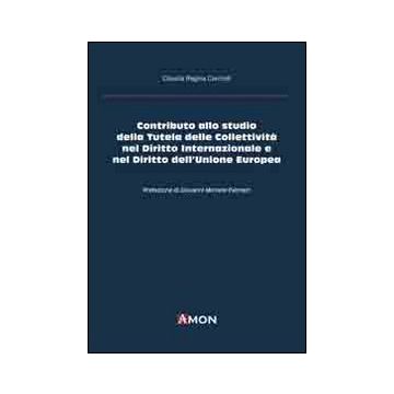 Contributo allo studio della tutela delle collettività nel diritto internazionale e nel diritto dell'Unione Europea
