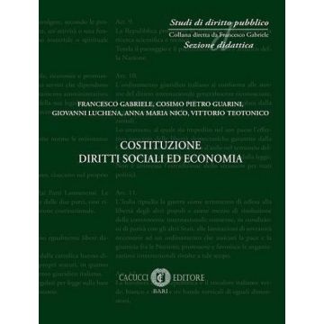 Costituzione diritti sociali ed economia. Nuova ediz.