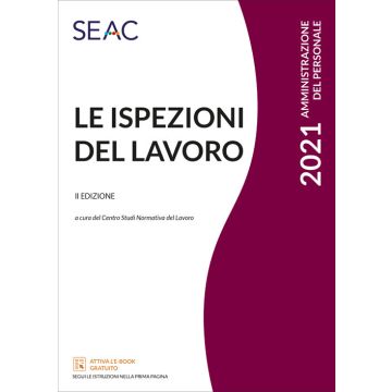 Le ispezioni del lavoro 2021