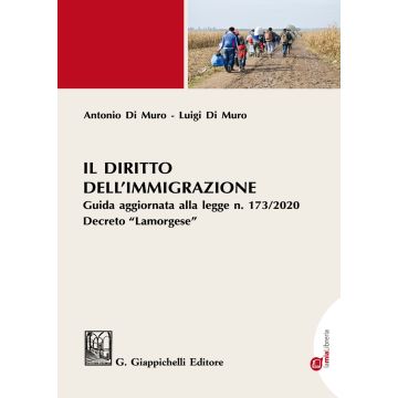 Il diritto dell'immigrazione