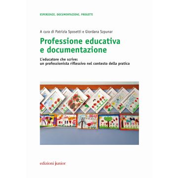 Professione educativa e documentazione. L'educatore che scrive: un professionista riflessivo nel contesto della pratica