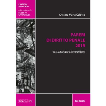 Pareri di Diritto Penale 2019. I casi, i quesiti e gli svolgimenti