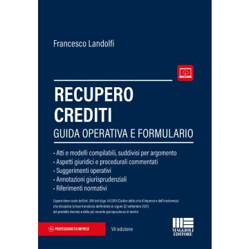 Recupero crediti