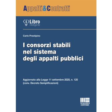I consorzi stabili nel sistema degli appalti pubblici