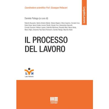 Il processo del lavoro