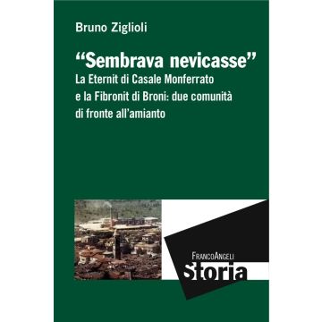 Sembrava nevicasse. La Eternit di Casale Monferrato e la Fibronit di Broni: due comunità di fronte all'amianto