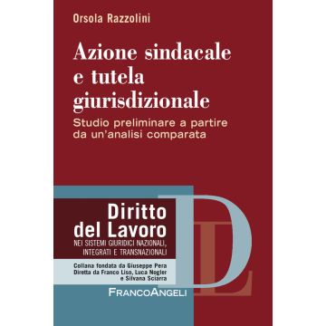 Azione sindacale e tutela giurisdizionale. Studio preliminare a partire da un'analisi comparata