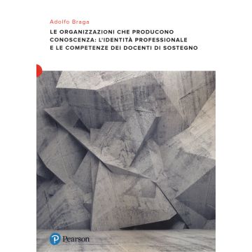 Le organizzazioni che producono conoscenza: l'identità professionale e le competenze dei docenti di sostegno