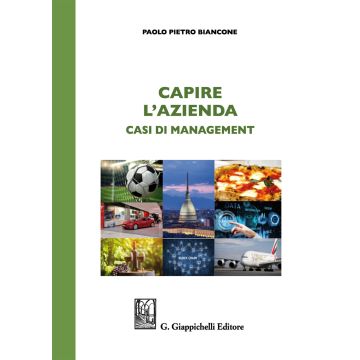 Capire l'azienda. Casi di management