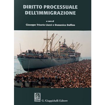 Diritto processuale dell'immigrazione