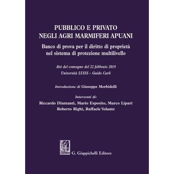 Pubblico e privato negli agri marmiferi apuani. Banco di prova per il diritto di proprietà nel sistema di protezione multilivello. Atti del Convegno (22 febbraio 2019)