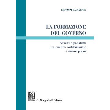 La formazione del governo. Aspetti e problemi tra quadro costituzionale e nuove prassi