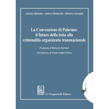 La Convenzione di Palermo: il futuro della lotta alla criminalità organizzata transnazionale