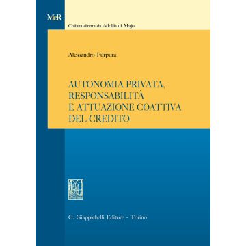 Autonomia privata, responsabilità e attuazione coattiva del credito