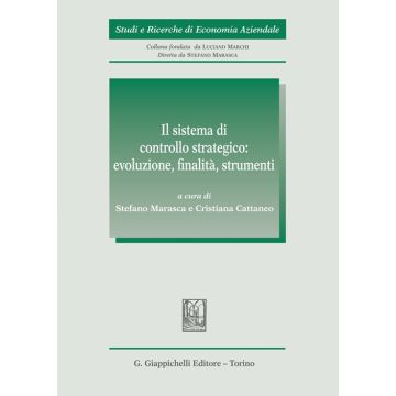 Il sistema di controllo strategico: evoluzione, finalità, strumenti