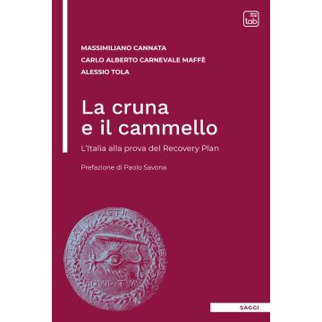 La cruna e il cammello. L'Italia alla prova del Recovery Plan