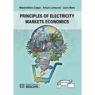 Principles of electricity markets economics