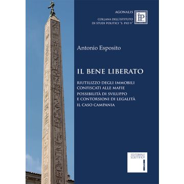 Il bene liberato. Riutilizzo degli immobili confiscati alle mafie possibilità di sviluppo e contorsioni di legalita. Il caso Campania