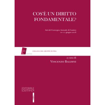 Cos'è un diritto fondamentale? Atti del Convegno (Cassino, 10-11 giugno 2016)