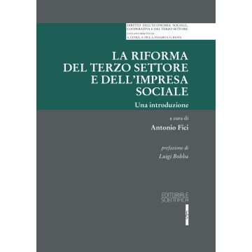 La riforma del terzo settore e dell'impresa sociale. Una introduzione