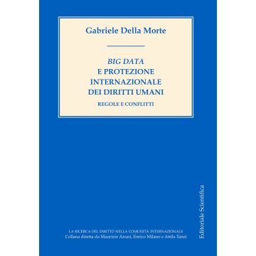 Big data e protezione internazionale dei diritti umani. Regole e conflitti