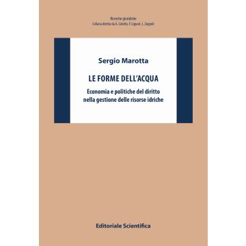 Le forme dell'acqua. Economia e politiche del diritto nella gestione delle risorse idriche