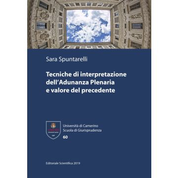 Tecniche di interpretazione dell'Adunanza Plenaria e valore del precedente