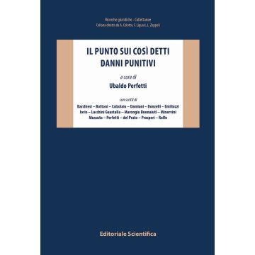 Il punto sui così detti danni punitivi