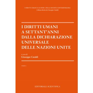 I diritti umani a settant'anni dalla dichiarazione universale delle Nazioni unite. Vol. 1