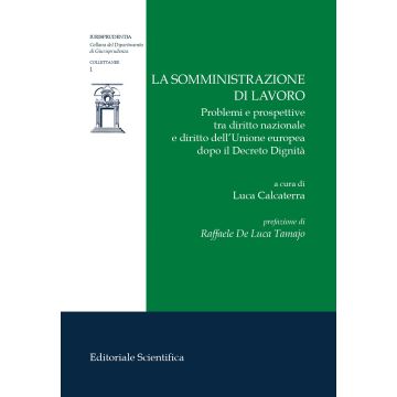 La somministrazione di lavoro. Problemi e prospettive tra diritto nazionale e diritto dell'Unione europea dopo il Decreto Dignità
