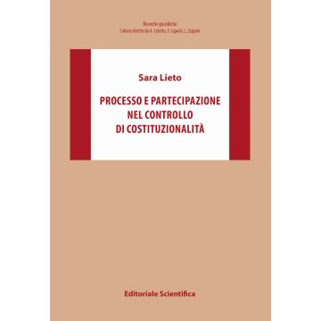 Processo e partecipazione nel controllo di costituzionalità