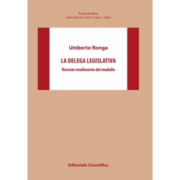 La delega legislativa. Recente rendimento del modello