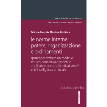 Le norme interne: potere, organizzazione e ordinamenti. Spunti per definire un modello teorico-concettuale generale applicabile anche alle reti, ai social e all'intelligenza artificiale
