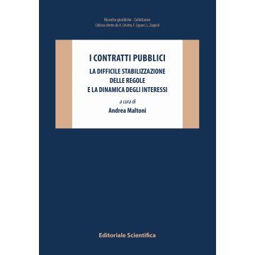 I contratti pubblici. La difficile stabilizzazione delle regole e la dinamica degli interessi
