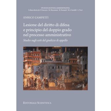 Lesione del diritto di difesa e principio del doppio grado nel processo amministrativo. Studio sugli esiti del giudizio di appello