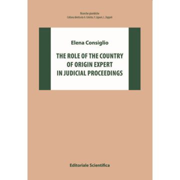 The role of the country of origin expert in judical proceedings