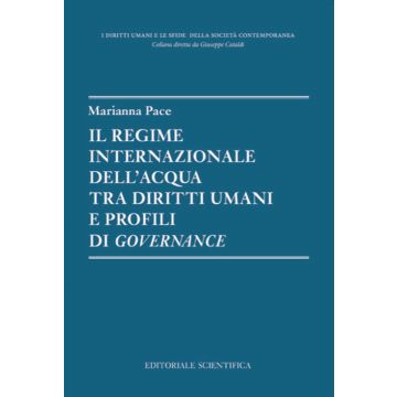 Il regime internazionale dell'acqua tra diritti umani e profili di governance