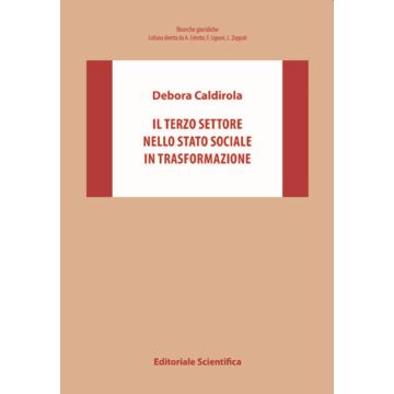 Il Terzo settore nello Stato sociale in trasformazione
