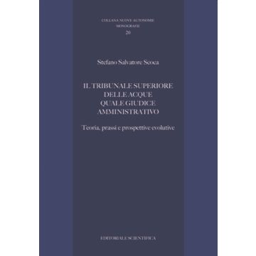 Il tribunale superiore delle acque quale giudice amministrativo. Teoria, prassi e prospettive evolutive