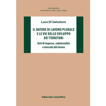 Il datore di lavoro plurale e le vie dello sviluppo dei territori. Reti di imprese, codatorialità e mercato del lavoro