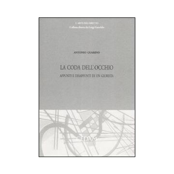 La coda dell'occhio. Appunti e disappunti di un giurista