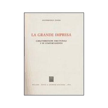 La grande impresa. Caratteristiche strutturali e di comportamento
