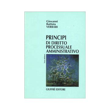 Principi di diritto processuale amministrativo