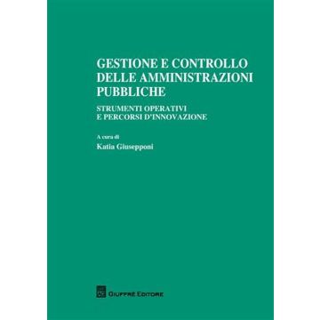 Gestione e controllo delle amministrazioni pubbliche. Strumenti operativi e percorsi d'innovazione